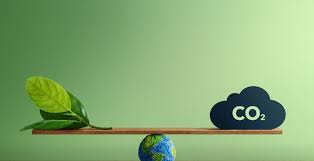 CARBON FOOTPRINT: What can companies do to save the planet?